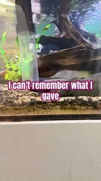 How a turkey baster made my life much easier!!! #aquarium #waterchange