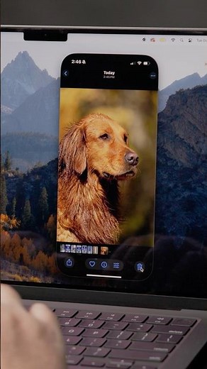 This “Hidden” iPhone Feature is The Best Way to Transfer Files and Photos