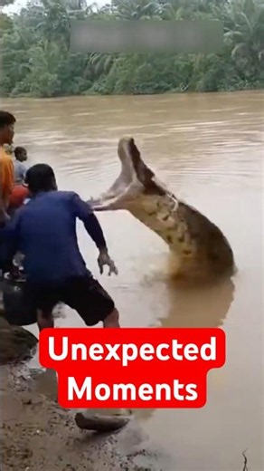 The Most Unexpected Animal Moments Caught On Camera