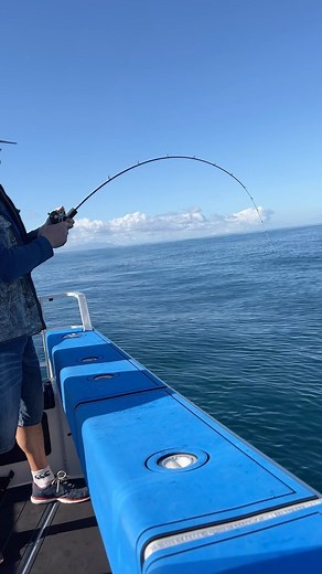 This is damn lethal. The Ocean Angler “Bender” slow jig rod pairs d with our G Bomb lured a work so well. It's almost unfair. Who has tried this combo ? | Ocean Angler