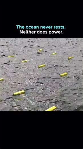 Facts on Instagram: "Wave power generators convert the constant motion of ocean swells into electricity using mechanical or hydraulic systems connected to generators. Unlike solar or wind, wave energy is highly predictable, operating day and night with consistent output. As coastal nations look to decarbonize grids, wave energy offers a scalable complement to offshore wind, especially for island and shoreline communities. The challenge now is durability, cost reduction, and large scale deploymen