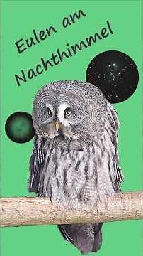 Eulen am Nachthimmel #astronomie #beobachtung
