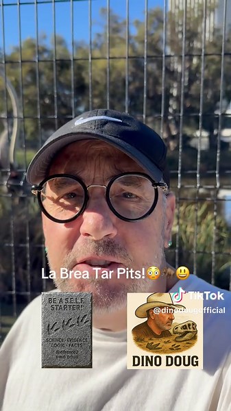 The La Brea Tar Pits in Los Angeles are one of the world’s richest Ice Age fossil sites, formed where natural asphalt (tar) has seeped to the surface for tens of thousands of years. These sticky pools acted as prehistoric traps: an animal would wander in, become stuck, and struggle. That movement attracted predators and scavengers, who were then trapped in turn. Over time, this created a dense fossil deposit representing an entire ancient ecosystem—mammoths, mastodons, saber-toothed cats, dire w