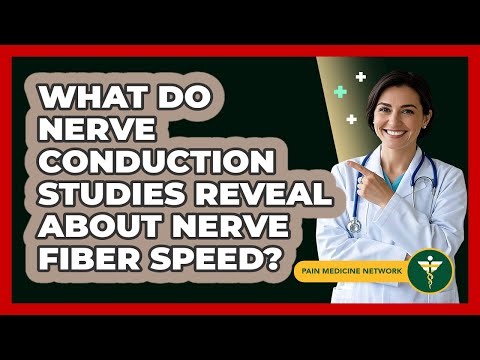 What Do Nerve Conduction Studies Reveal About Nerve Fiber Speed? - Pain Medicine Network
