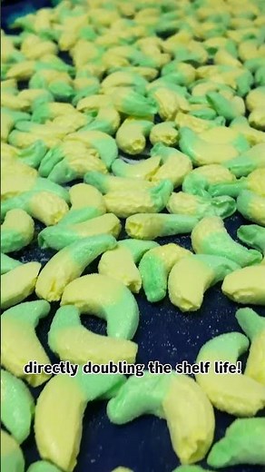 Industrial Freeze Dryer for Candy Production | Large-Scale Freeze Drying in Action!