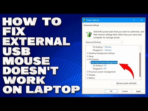 How To Fix External USB Mouse Doesn't Work on Laptop [Solution]