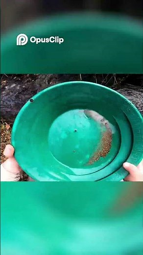 Relaxed River Gold Panning Where Nature Is the True Gold