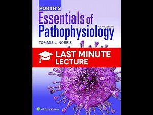 Disorders of the Male Reproductive System | Chapter 43 – Porth’s Pathophysiology (5th)