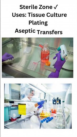 Working of Laminar Air Flow | Sterile Zone Explained in 60 Seconds