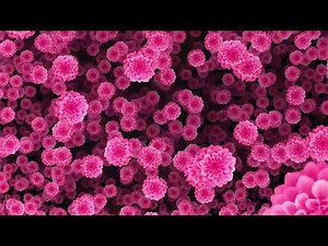 Rose Pink Flowers Animation Falling