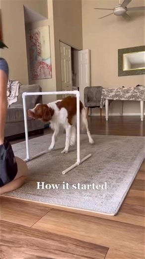 545K views · 12K reactions | Cooperative care is all about building...