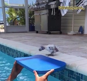 28K views · 215 reactions | Shaker on Reels | Facebook