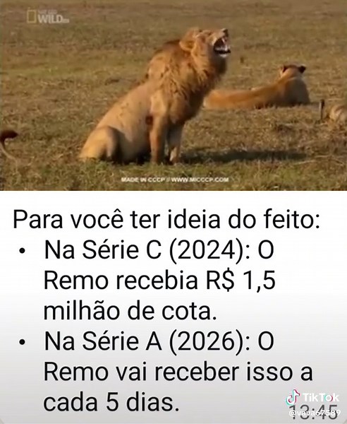 Os vídeos de vava (@vava67589) com Possible - Cerulea