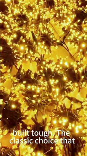 IP65 LED String Lights | Outdoor Rated | OEM/ODM Factory | Heavy-Duty Outdoor Commercial LED Garland