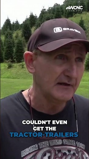 How western NC Christmas tree farms are coming back a year after Helene