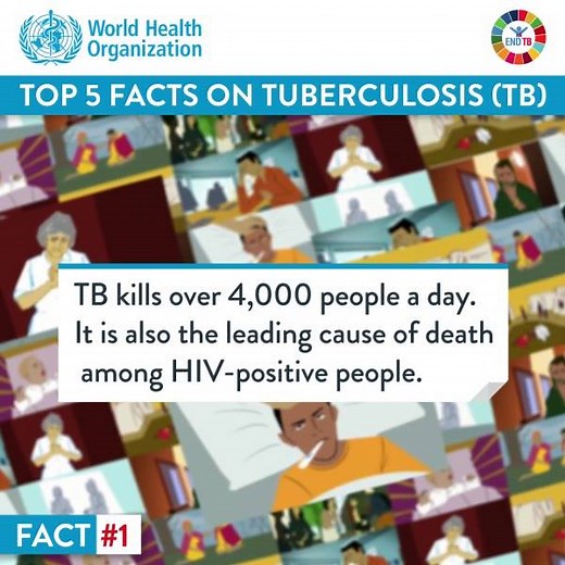 These are 5 key facts you need to know about tuberculosis: | World Health Organization (WHO)