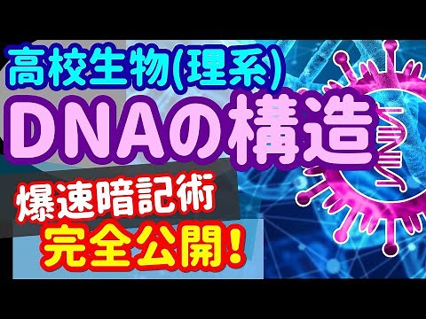 【高校生物 18】遺伝子【DNAの構造】を宇宙一わかりやすく