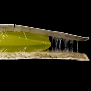 1M views · 13K reactions | This robot that grows without moving its whole body could be useful in search and rescue and medical applications | Interesting Engineering | Facebook