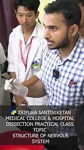 STRUCTURE OF NERVOUS SYSTEM