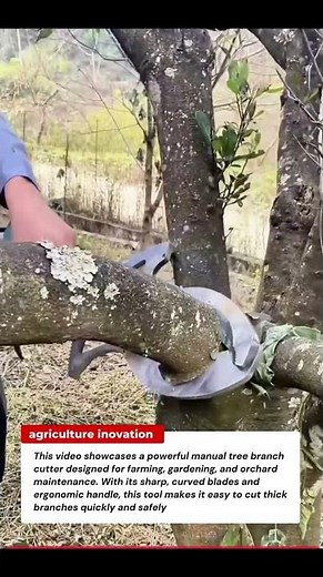 Powerful Tree Branch Cutter Tool for Farming & Gardening