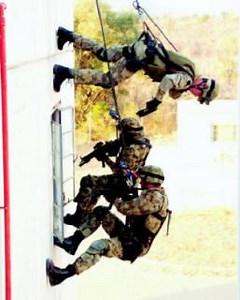 The SAPS Special Task Force