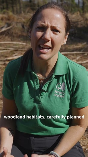 What role does tree felling play in keeping a forest healthy?