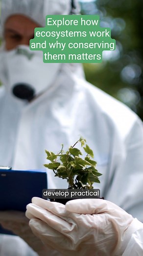 Exploring Tropical Ecosystems: Biotic & Abiotic Features, Human Impact, and Conservation This Grade 9 science video provides an in-depth look at tropical ecosystems including rainforests, swamps, estuaries, mangrove forests, and coral reefs. It explains their biotic and abiotic characteristics and examines how human activities like deforestation, pollution, and invasive species affect these environments. The video also highlights practical conservation strategies to help minimize negative impact