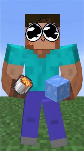 WHEN YOU PLAY SKYBLOCK WITH YOUR FRIEND!