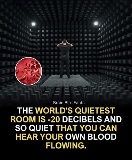 The World’s Quietest Room – Where Silence is Louder than Sound