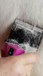 4.5K views · 32 reactions | Have you ever used a Covercote blade to clip? Covercote blades leave 5mm of hair and are most commonly used for summer clips or show horses and ponies but can be a brilliant choice for greys or pink skinned horses 濾 | Clippersharp | Facebook