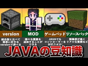 マイクラJAVA版に隠された雑学と豆知識【ゆっくり解説】