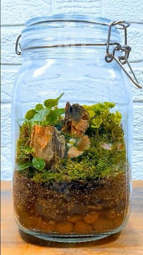 Create a Beautiful Jar Terrarium DIY