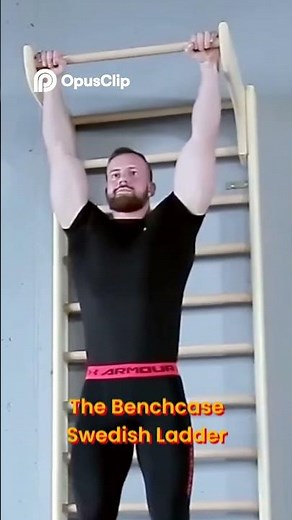 Swedish Ladder Wall Bar Workout #benchkswedishladder #homefitnessgear