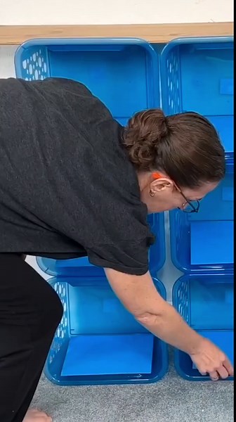 Grab some Dollar Tree bins & a pool noodle...🫢