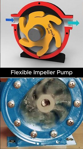 How a Flexible Impeller Pump Works | Rotary Pump Mechanism Explained
