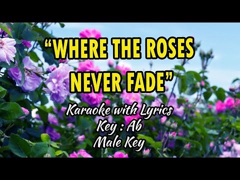 WHERE THE ROSES NEVER FADE | Karaoke (Key : A♭) Male Key