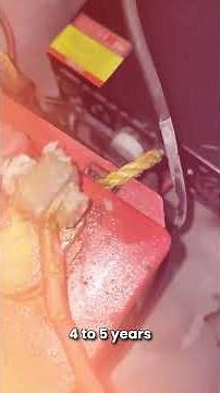 Inverter with Battery Inside – Genus MaxiLion