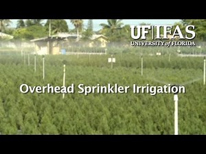 Overhead Sprinkler Irrigation