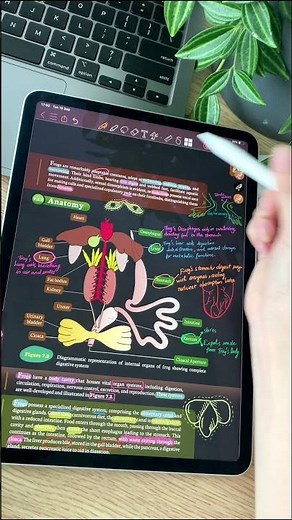 How to add images/diagram to your notes in CollaNote app 📝