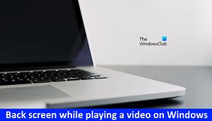 Fix Black Screen while playing a video on Windows 11/10