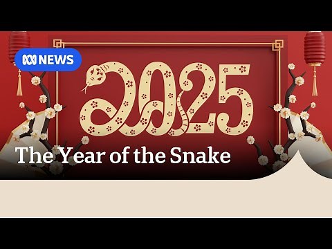 Lunar New Year 2025: The Year of the Snake explained | ABC NEWS