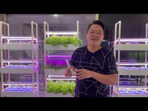 How to use a TDS & EC meter