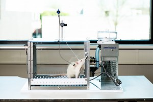 Equipment for Rat and Mouse IV Self-Administration with a Focus on Catheter Patency