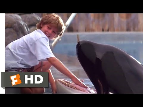 Free Willy (1993) - Training Willy Scene (5/10) | Movieclips