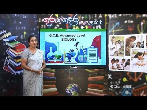 Grade 12 (Biology) - Introduction to Biology