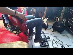 Pedalera digitech RP500 (Looper)