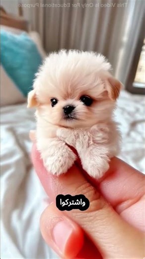 القطة فانظر الحبر انتشر في فمها بالكامل