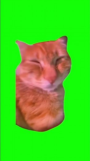 Awoo Awoo Cat | Green Screen #memes #shorts #cat #greenscreen