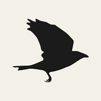 What was Vaults Beta?