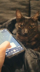 116K views · 6.5K reactions | Discover the future of music on BandLab with AI music tools, mastering presets, and more. | BandLab | Facebook